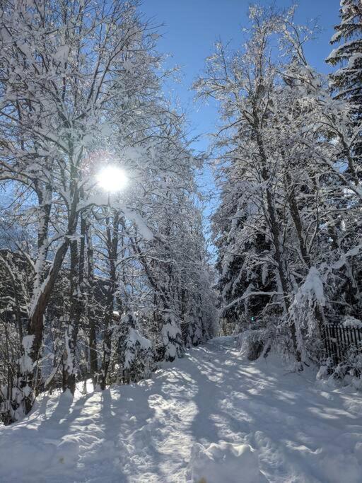Chalet L'Ilet Ensoleille /Sunny Island Chalet Chamonix Esterno foto