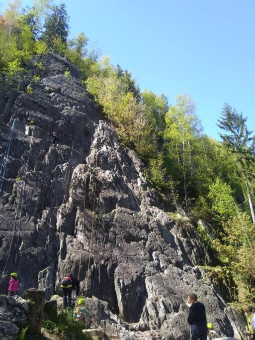 Chalet L'Ilet Ensoleille /Sunny Island Chalet Chamonix Esterno foto