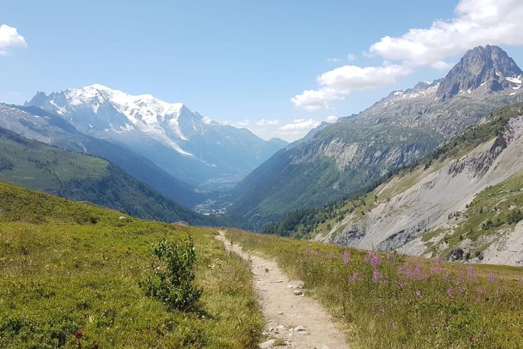 Chalet L'Ilet Ensoleille /Sunny Island Chalet Chamonix Esterno foto